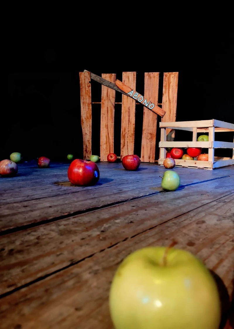 Entrevista a Ariel Boiola